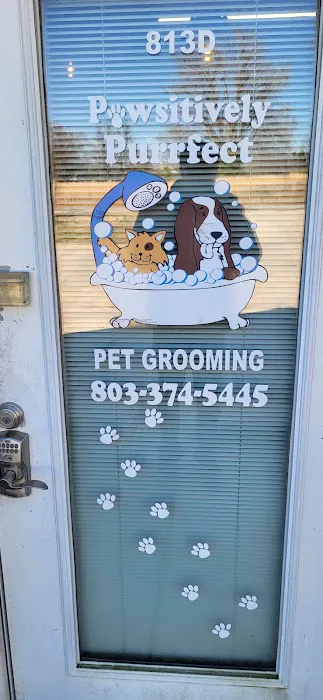 Carolina Place Animal Hospital Picture 10