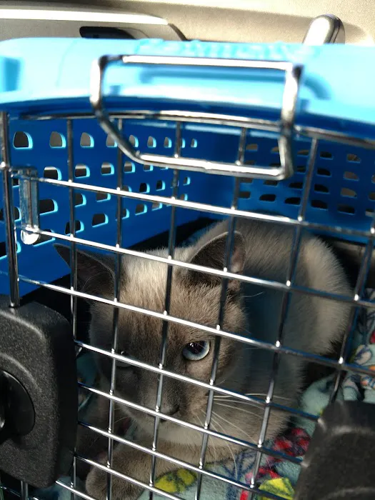 Carolina Place Animal Hospital Picture 7