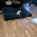 Kershaw Veterinary Clinic