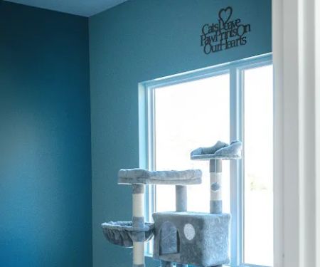 Dogwood Veterinary Clinic