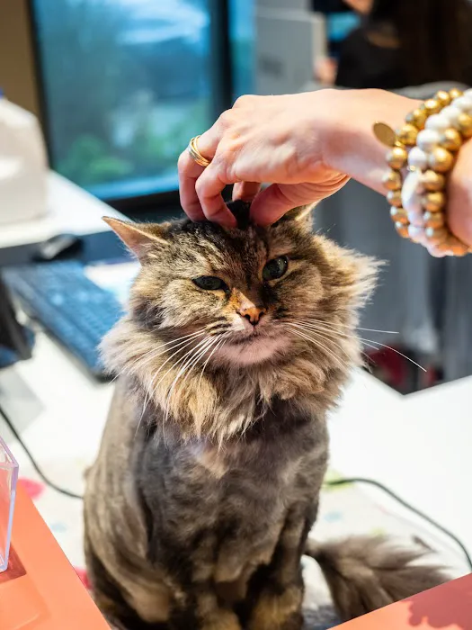 Mixed Pet Veterinary Hospital Picture 6