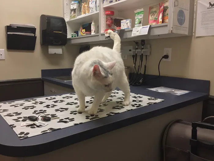 Piper Glen Animal Hospital Picture 1