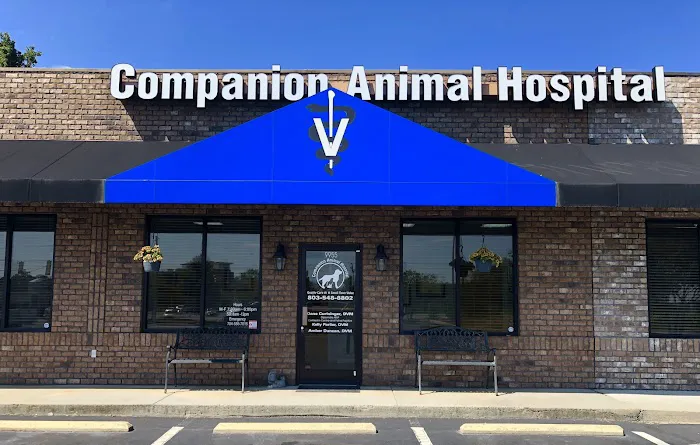 Curtsinger Animal Hospital Picture 8