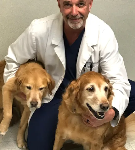 Providence Animal Hospital Picture 3