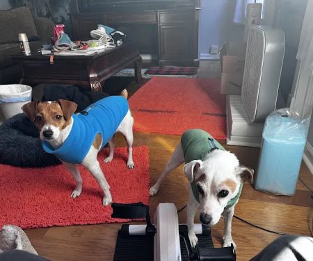 Providence Animal Hospital