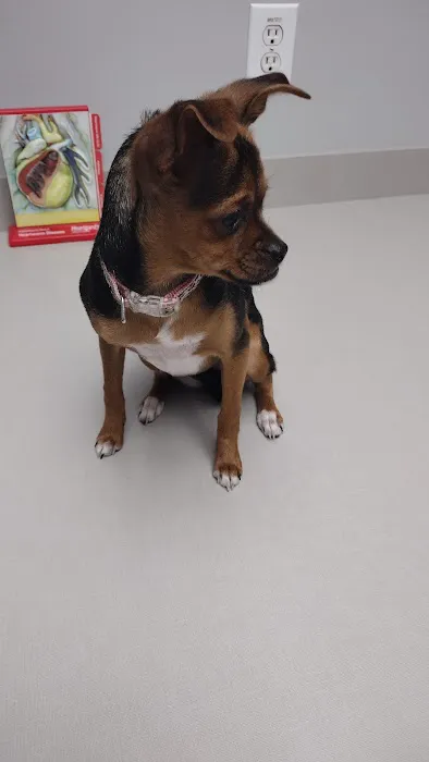 Riverbark Veterinary Hospital Picture 5