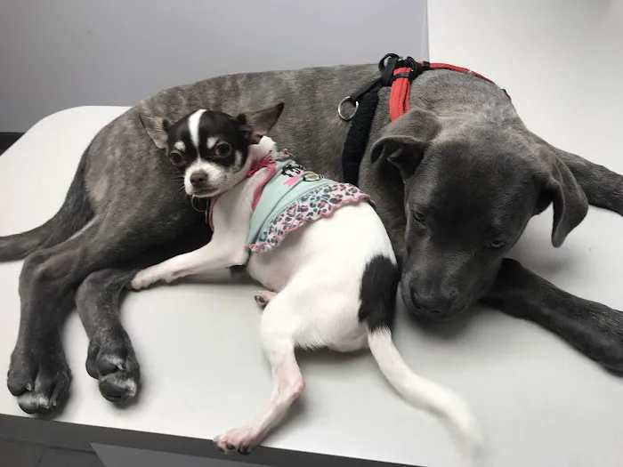Riverbark Veterinary Hospital Picture 7