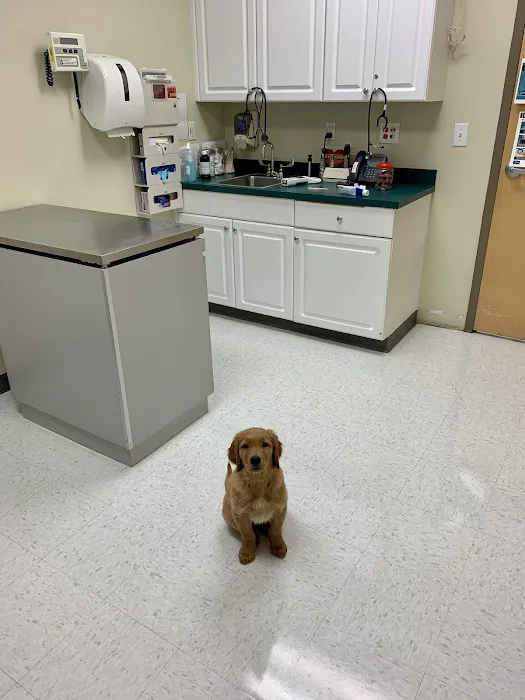 Veterinary Treatment Facility of Fort Bragg Picture 8