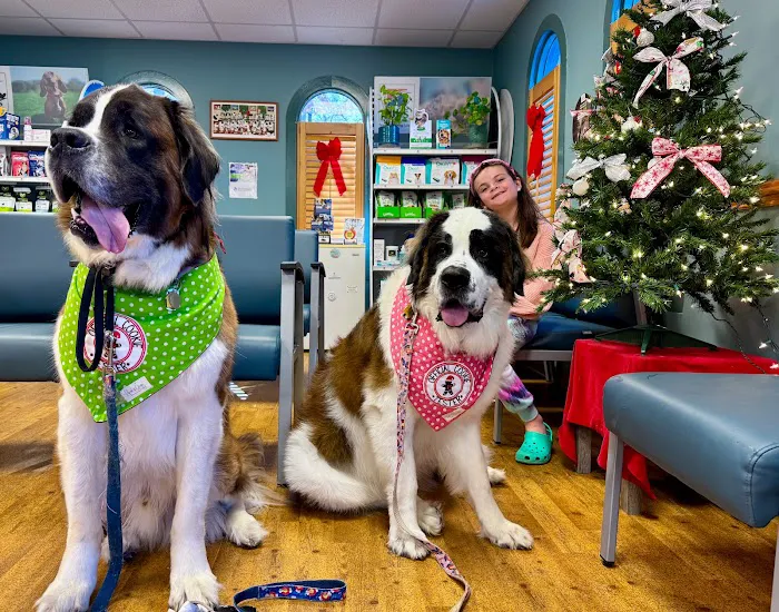Ambassador Animal Hospital Picture 9