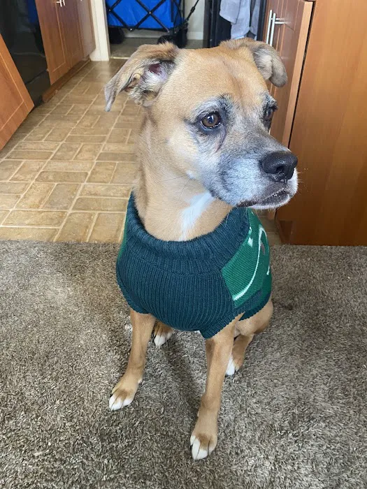 Ambassador Animal Hospital Picture 8