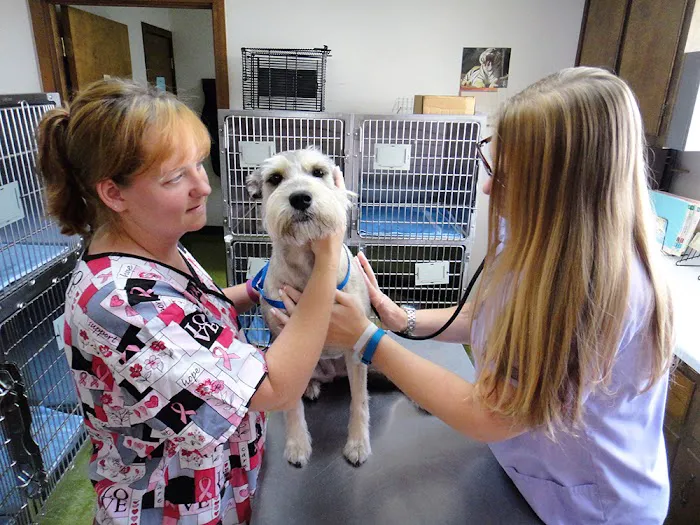 Cumberland Animal Hospital Fayetteville Picture 1