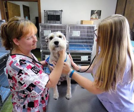 Cumberland Animal Hospital Fayetteville