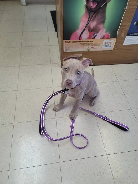 Reilly Road Animal Hospital Picture 2