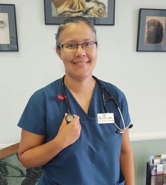 Cliffdale Animal Hospital Picture 1