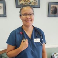 Cliffdale Animal Hospital ico