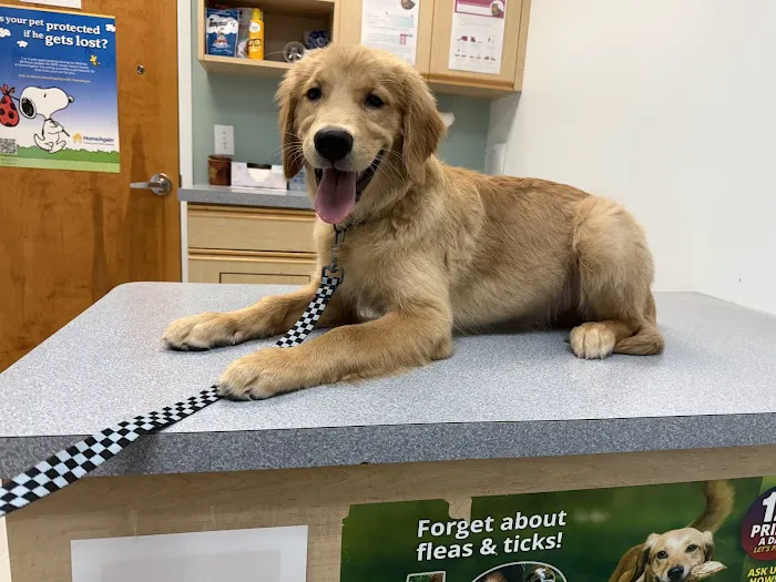 Cliffdale Animal Hospital Picture 2