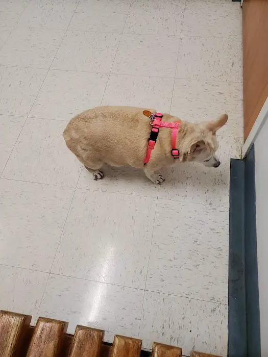 Cliffdale Animal Hospital Picture 6