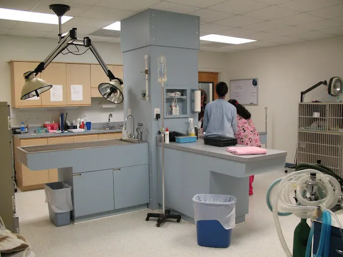 Cliffdale Animal Hospital Picture 10