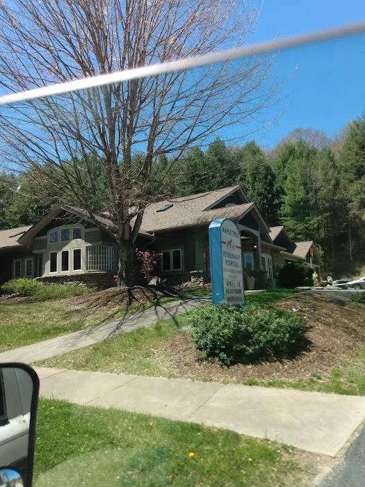 Maple Tree Veterinary Hospital and Dog Camp Picture 8
