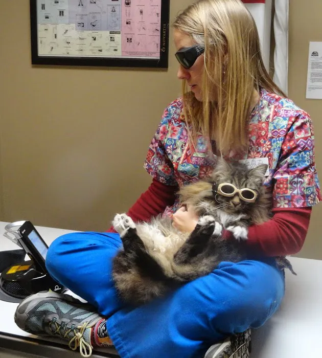 Animal Hospital of Waynesville Picture 4