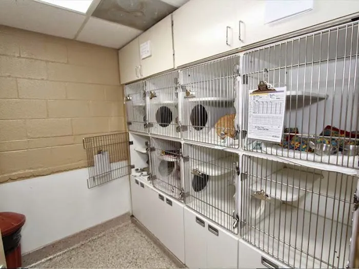 Animal Hospital of Waynesville Picture 7