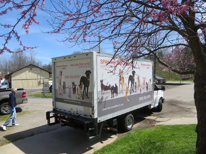 Haywood Spay/Neuter Picture 2