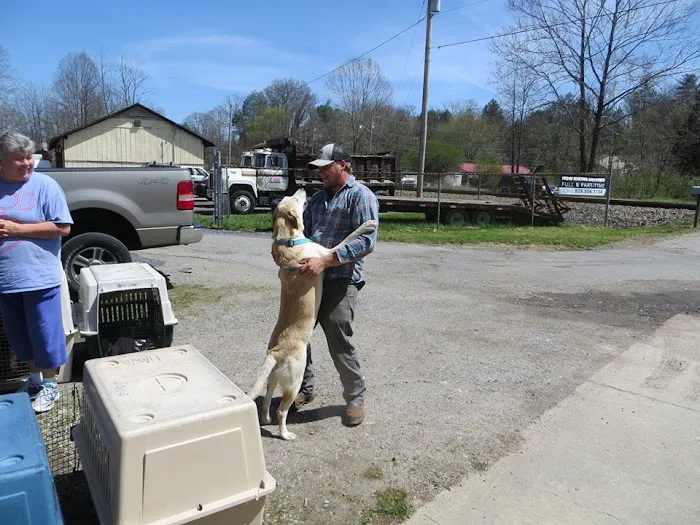 Haywood Spay/Neuter Picture 3