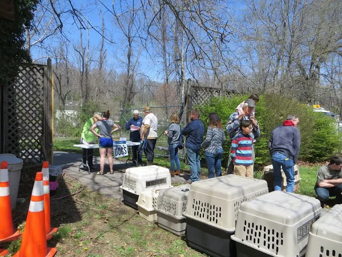 Haywood Spay/Neuter Picture 4