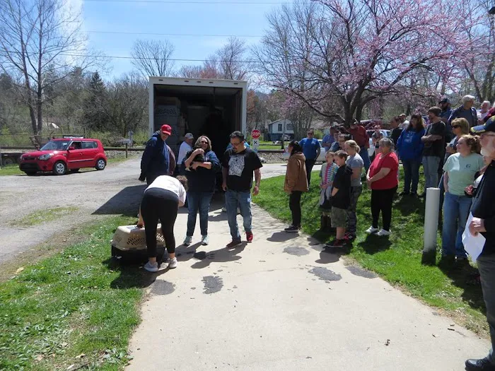 Haywood Spay/Neuter Picture 1