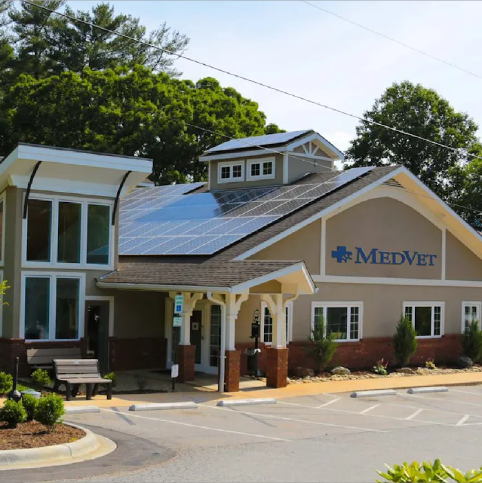 MedVet Asheville Picture 3