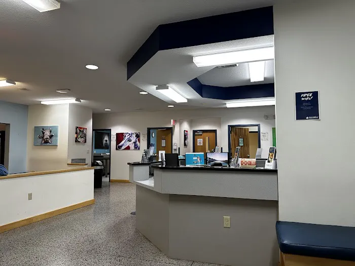 MedVet Asheville Picture 2