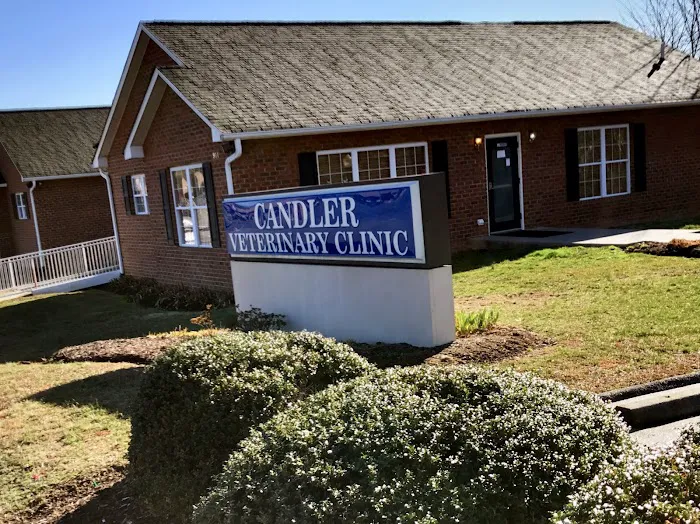 Candler Veterinary Clinic Picture 1