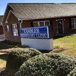 Candler Veterinary Clinic