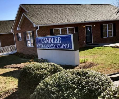 Candler Veterinary Clinic