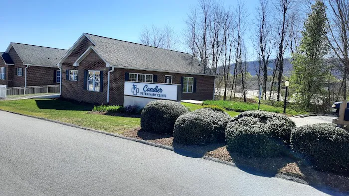 Candler Veterinary Clinic Picture 3