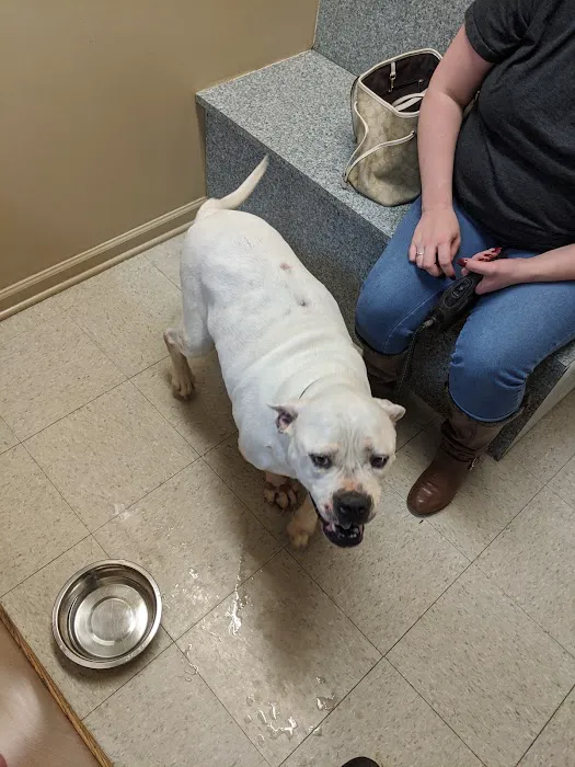 Candler Veterinary Clinic Picture 6