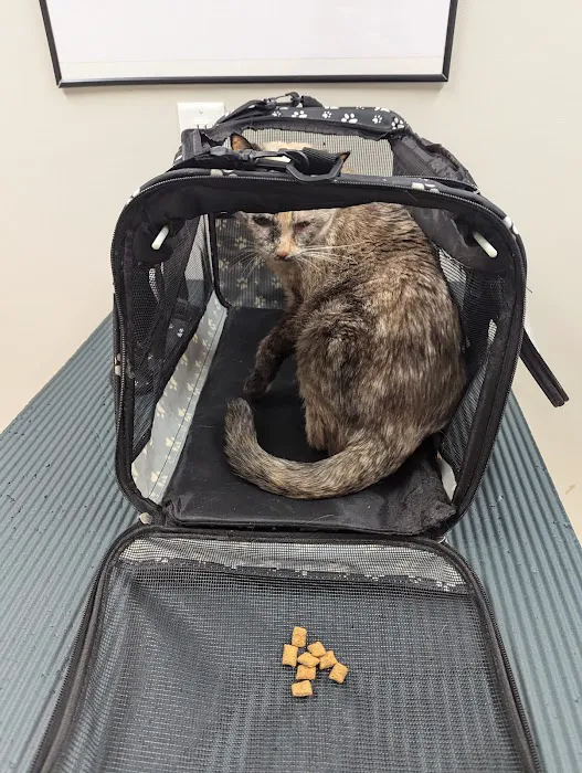 Candler Veterinary Clinic Picture 7