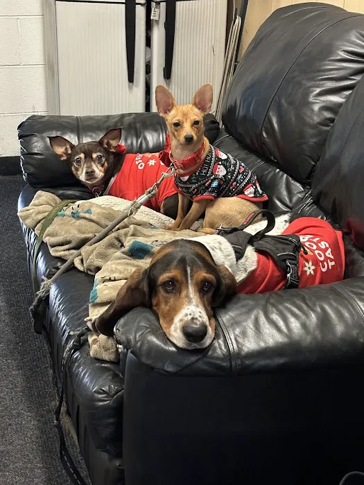 Candler Veterinary Clinic Picture 8