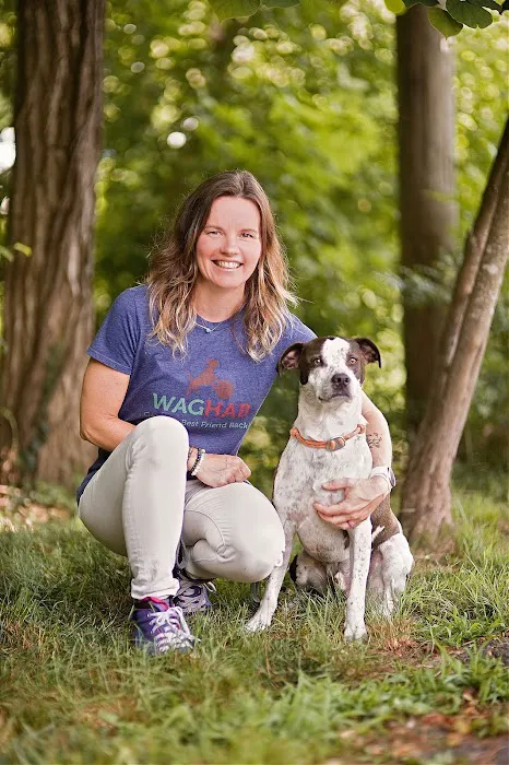 WagHab: Asheville Dog Exercise and Aquatic Gym Picture 4