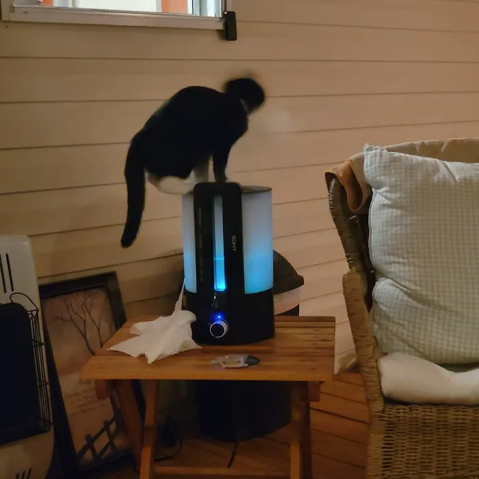 Pet-Vac Animal Hospital Picture 4