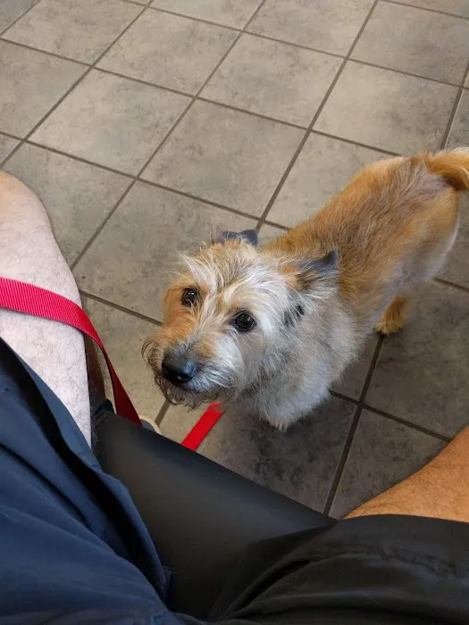 Westside Veterinary Clinic Picture 1