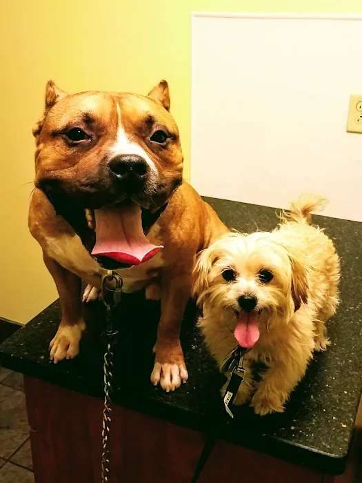 Westside Veterinary Clinic Picture 3