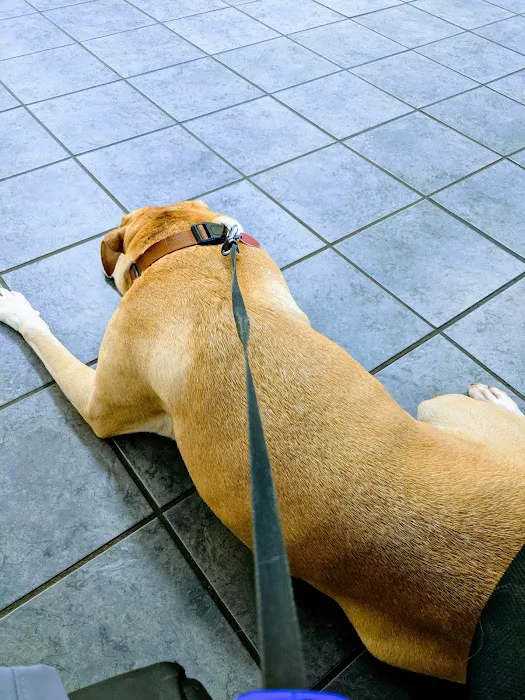 Westside Veterinary Clinic Picture 4