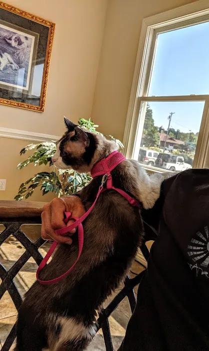 Etowah Valley Veterinary Hospital Picture 2