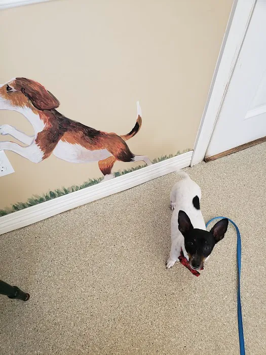 Etowah Valley Veterinary Hospital Picture 3