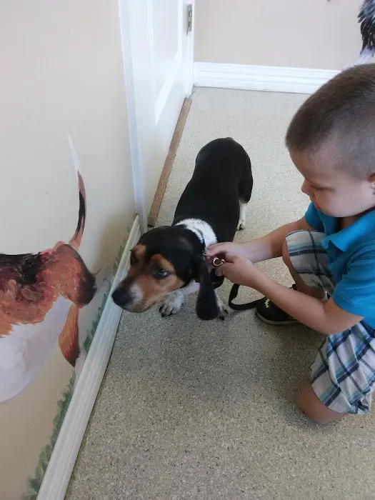 Etowah Valley Veterinary Hospital Picture 10