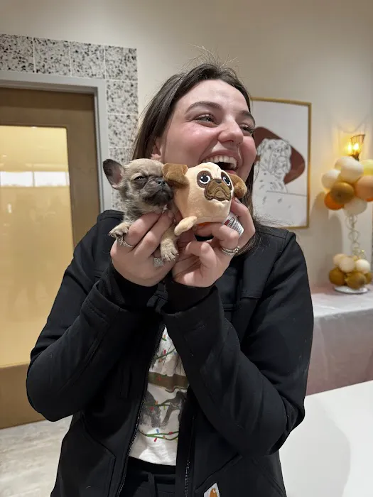 Cleveland Park Animal Hospital Greer Picture 8