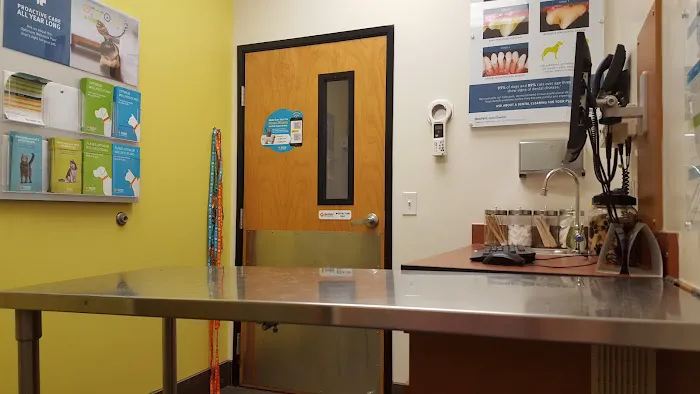 Banfield Pet Hospital Picture 1