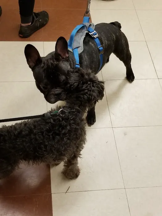 Banfield Pet Hospital Picture 4