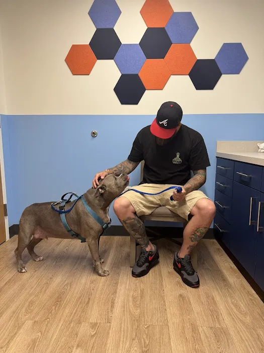 ReadyVets Veterinary Urgent Care Picture 5
